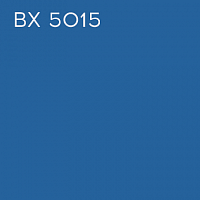 BX 5015
