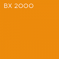 BX 2000