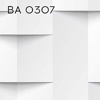 BA 0307