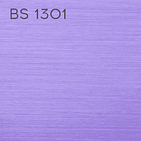 BS 1301