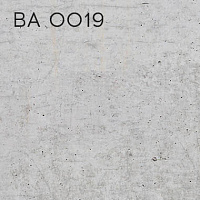 BA 0019