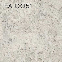 FA 0051