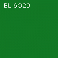BL 6029