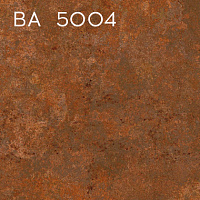 BA 5004