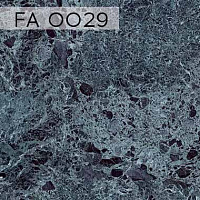 FA 0029