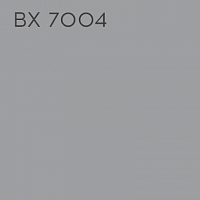 BX 7004