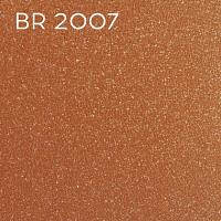 BR 2007