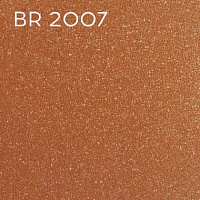 BR 2007