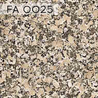 FA 0025